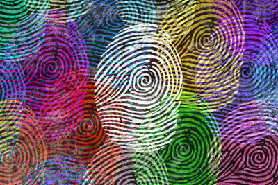 Data privacy fingerprints-1