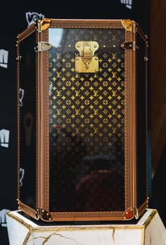 Branded Case-Louis Vuitton